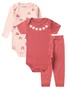 Kit Body Bebê Menina Suedine Joaninhas e Flores