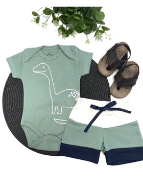 Conjunto Bebê Menino Body e Bermuda Moletinho Dino Baby