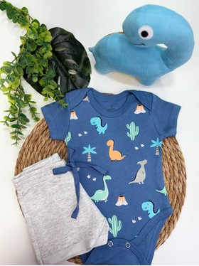 Conjunto Bebê Menino Body e Bermuda Moletinho Dino