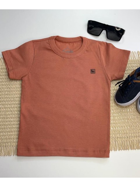 Camiseta Infantil Menino Meia Malha Terra