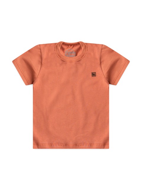 Camiseta Infantil Menino Meia Malha Terra