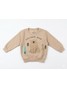 Conjunto Infantil Menino Moletom Peluciado Explorer Bear
