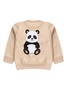Conjunto Infantil Menino Moletom Peluciado Panda