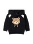 Conjunto Infantil Menino Moletom Peluciado com Capuz Urso