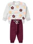 Conjunto Infantil Menina Moletom Peluciado Flores Coloridas