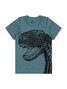 Conjunto Infantil Menino Camiseta Bermuda Dino