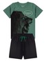 Conjunto Infantil Menino Camiseta Bermuda Leão
