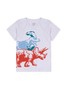 Conjunto Infantil Menino Camiseta Bermuda Dinos