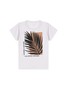 Conjunto Infantil Menino Camiseta Bermuda Having