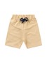 Conjunto Infantil Menino Camiseta Bermuda Lobo