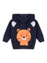 Conjunto Infantil Menino Moletom Peluciado com Capuz Tiger