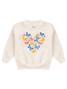 Conjunto Infantil Menina Moletom Peluciado Flowers