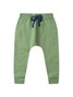 Conjunto Infantil Menino Moletom Peluciado Verde Floresta