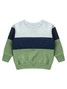 Conjunto Infantil Menino Moletom Peluciado Verde Floresta