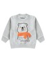 Conjunto Infantil Menino Moletom Peluciado Winter