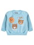 Conjunto Infantil Menino Moletom Peluciado Felinos