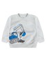Conjunto Infantil Menino Moletom Peluciado Vehicles