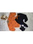 Conjunto Infantil Menino Moletom Peluciado Raposa
