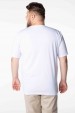 Camiseta Básica Algodão Premium - Gola C - Estampa na Gola - Branco