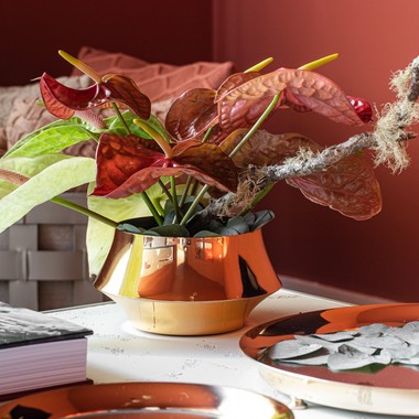 Cachepot Femme Saint James Ouro 24k