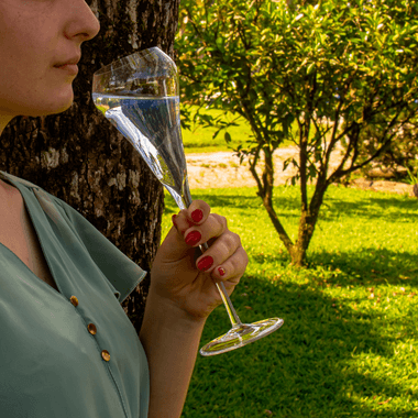 Kit 6 Taças de Cristal P/Champagne Belle Epoque 250ml