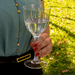 Kit 6 Taças de Cristal Lapidado 66 P/Vinho Tinto Incolor