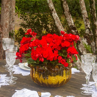 Centro de Mesa Murano Nice Ambar