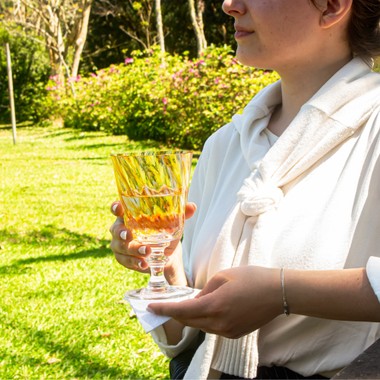 Taça de Cristal Murano Collors Amarelo