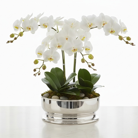 Centro de Mesa Média Prata Silhouette St James