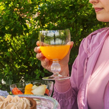 Taça de Cristal Camélia 500ml Incolor