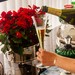 Taça de Cristal P/Champagne Roitter 230ml