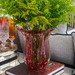 Vaso Murano Everest Pink