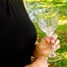 Taça de Cristal Lapidado 66 P/Vinho Tinto Incolor