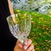 Taça de Cristal Lapidado 66 P/Vinho Tinto Incolor