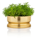 Centro de Mesa Spin Grande Ouro 24k Saint James