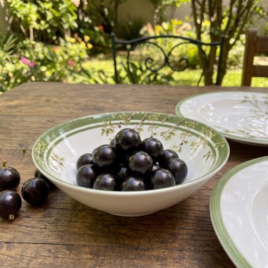 Bowl Decorado Jabuticaba