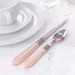 Faqueiro 24 Peças Mother Pearl Rosa Luxo