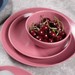 Aparelho de Jantar 16 Peças Color Blush