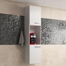 Paneleiro Cozinha Veneza 2 Portas 1 Nicho Branco