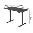 Mesa Gamer Escrivaninha Regulagem de Altura Elétrica 120 X 60cm Flexispot Preto - Telasul