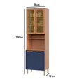 Paneleiro Sálvia 70cm para Micro 2 Portas C/ Vidro Freijó/Azul - Telasul
