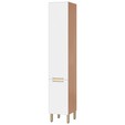 Paneleiro de Cozinha Sálvia 40cm 2 Portas Freijó/Branco - Telasul