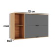 Armário Aéreo Castanha 1200mm com 2 Portas Cinza/Freijó