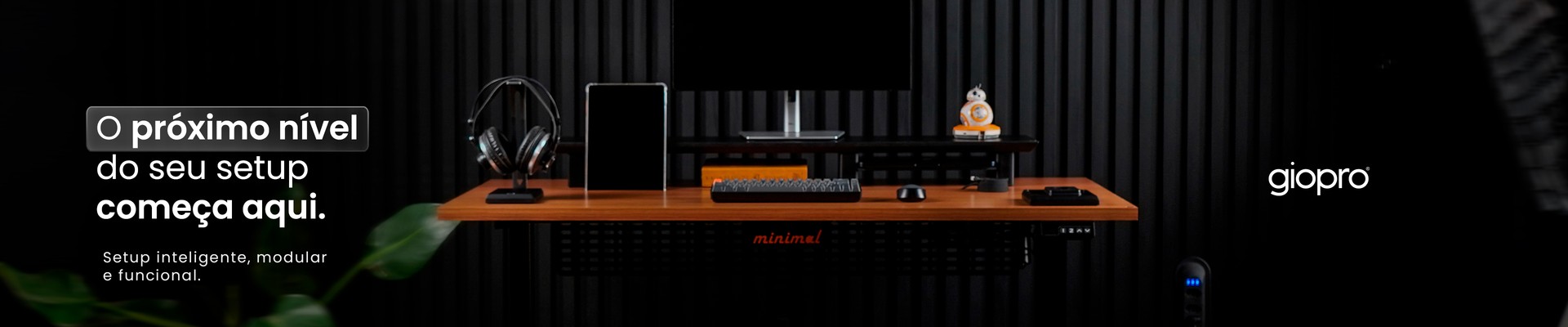 Banner principal PC 1