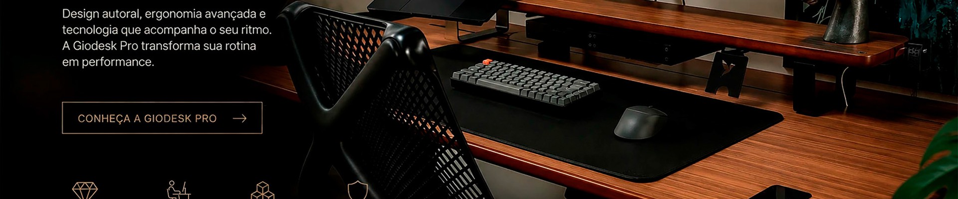 Banner principal PC 1