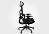 Cadeira Ergonomica Giopro Oreli Pro Elegance Zr