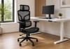 Cadeira Ergonomica Giopro Oreli Pro Elegance Zr