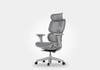 Cadeira Ergonomica Office Dewok Pro Cinza Giopro