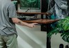 Mesa Regulagem de Altura Giodesk Pro 200x80 Freijó
