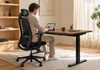 Cadeira Ergonomica Giopro Oreli Plus Vega Zr
